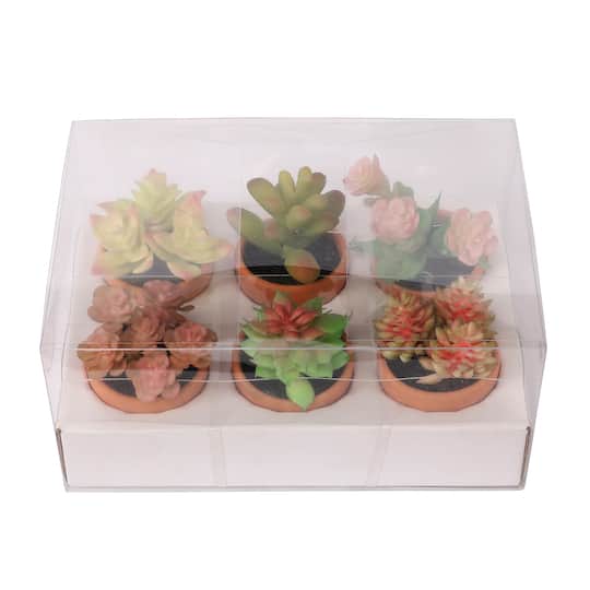 6 Packs: 6 ct. (36 total) Mixed Mini Premade Succulents in Terra Cotta Pots by Ashland®